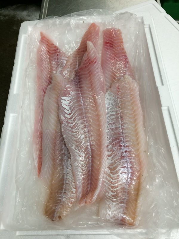 Lyssej filet (3 kg.)