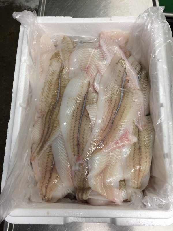Rødspætte filet uden skind (3 kg.)